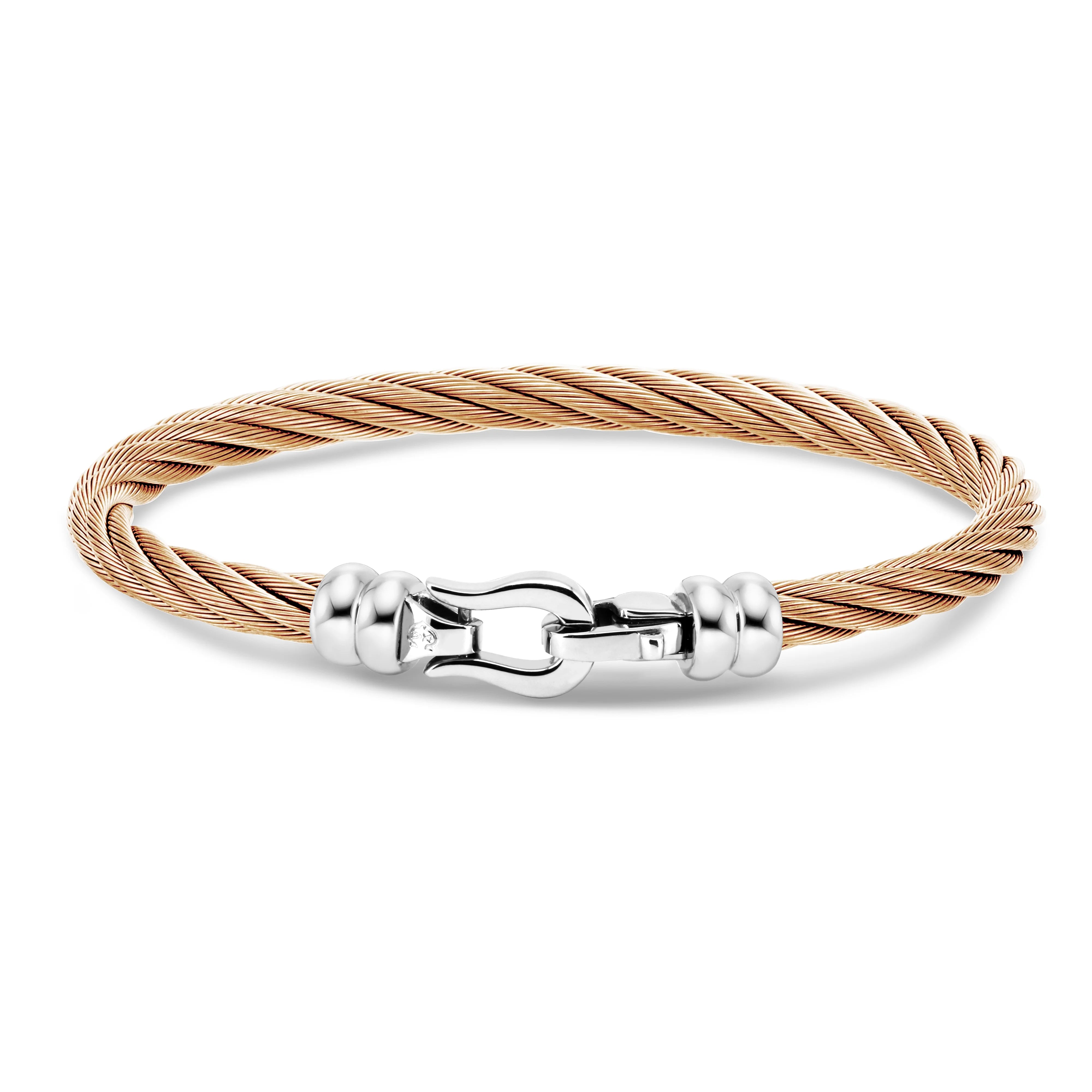 روز Gold_Steel