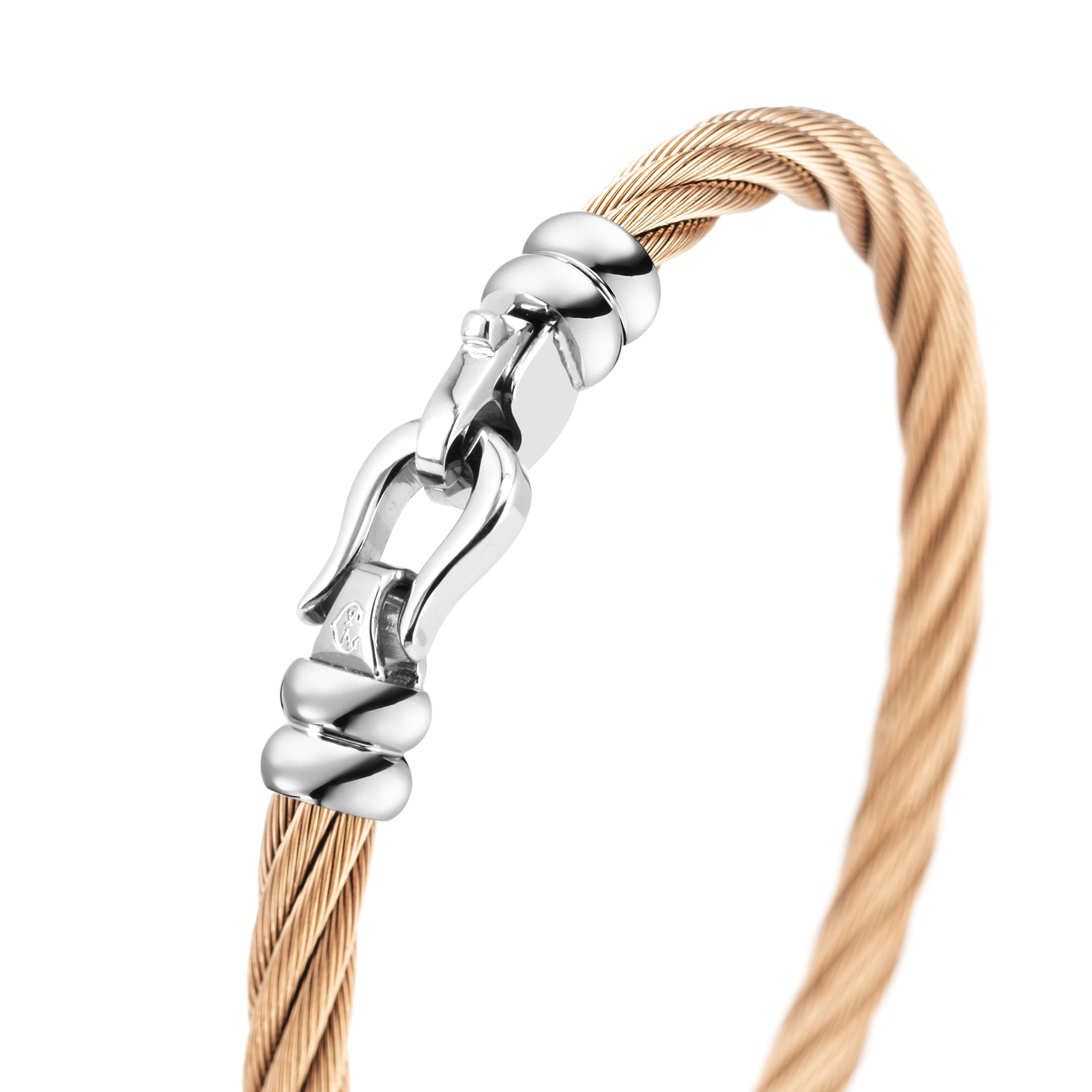 روز Gold_Steel
