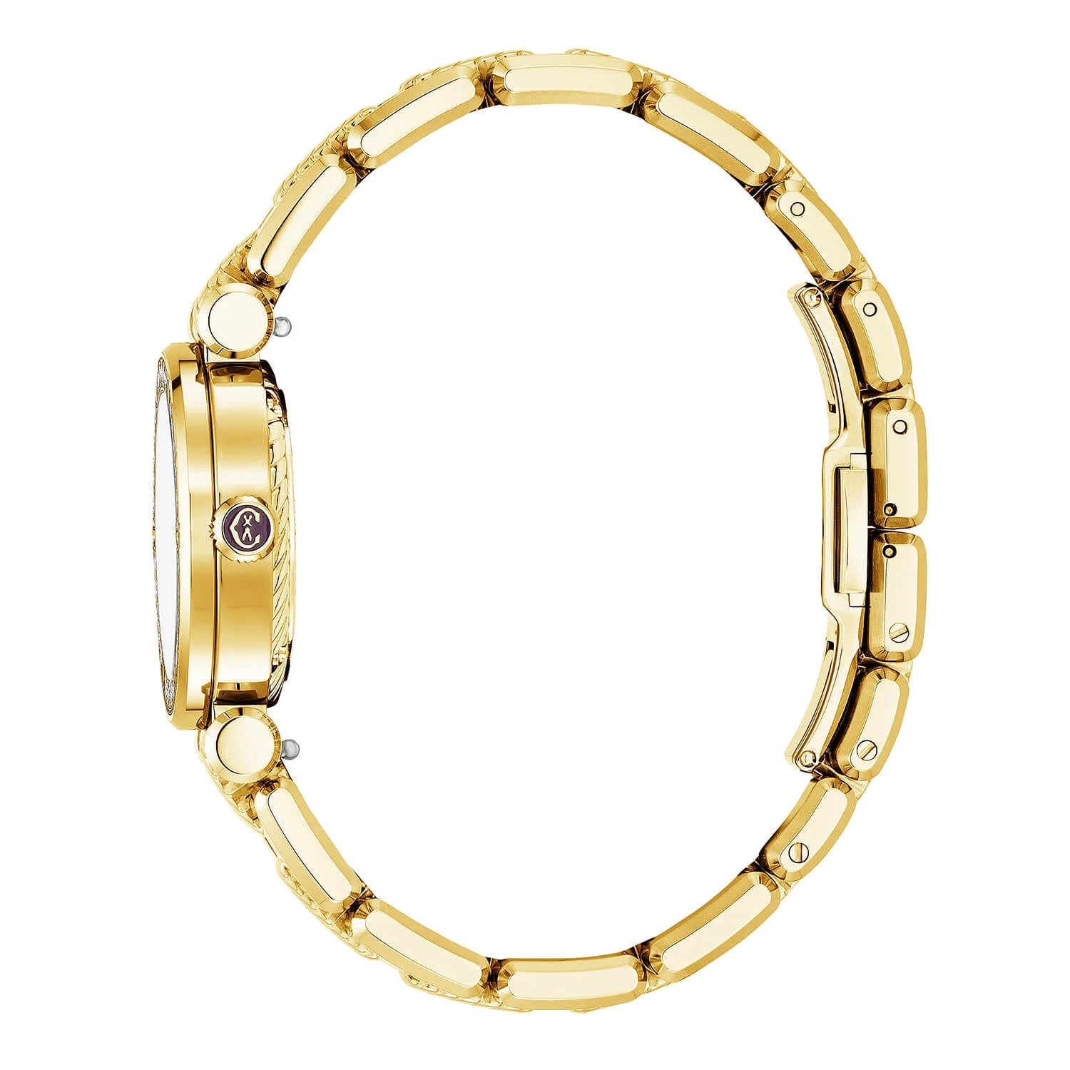 NAVIGATOR CRUISE، 28 ملم، عيار كوارتز عيار 28 ملم، عيار كوارتز عيار 28 ملم، مينا من الذهب الأصفر الفولاذي مع 30 حجر ألماس مع 6 مسامير مخروطية مع حافة من الذهب الأصفر الفولاذي مع سوار معدني من الذهب الأصفر الفولاذي قابل للتبديل - © 2024 Charriol - ساعة